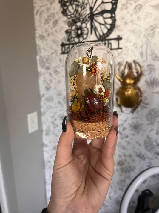 These beetles are a new fav