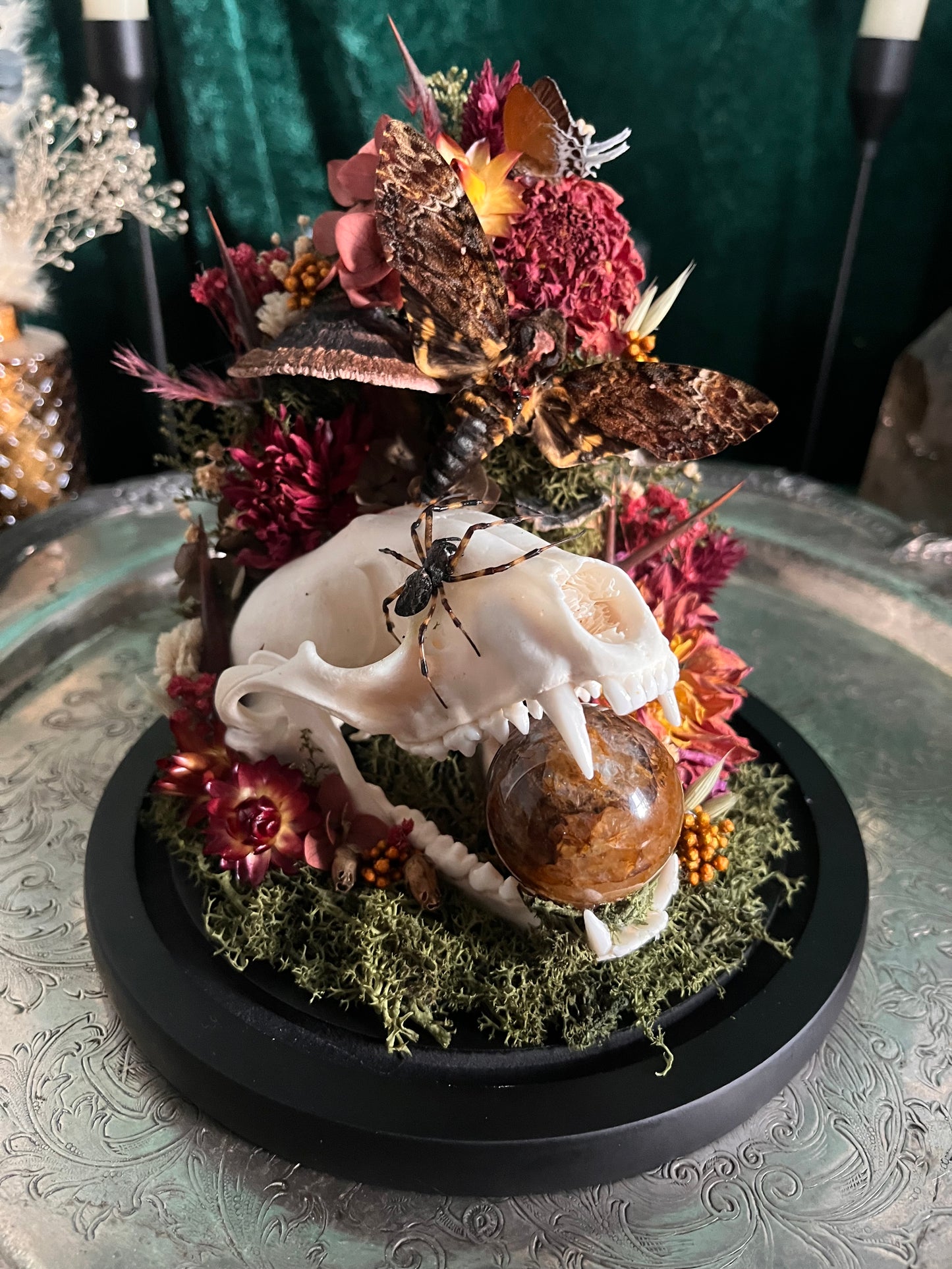 My favorite dome I think I’ve made