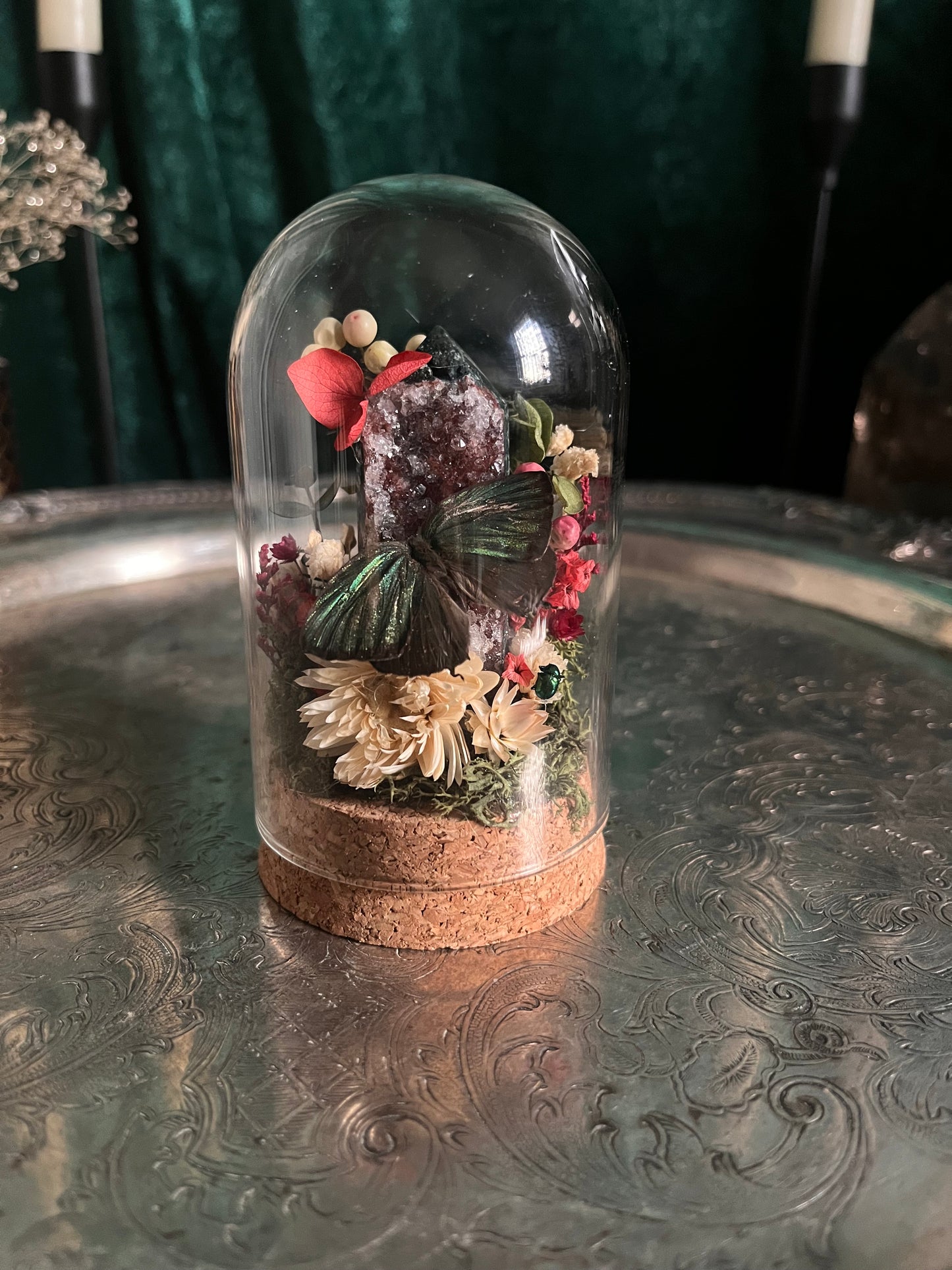 christmas but make it entomology