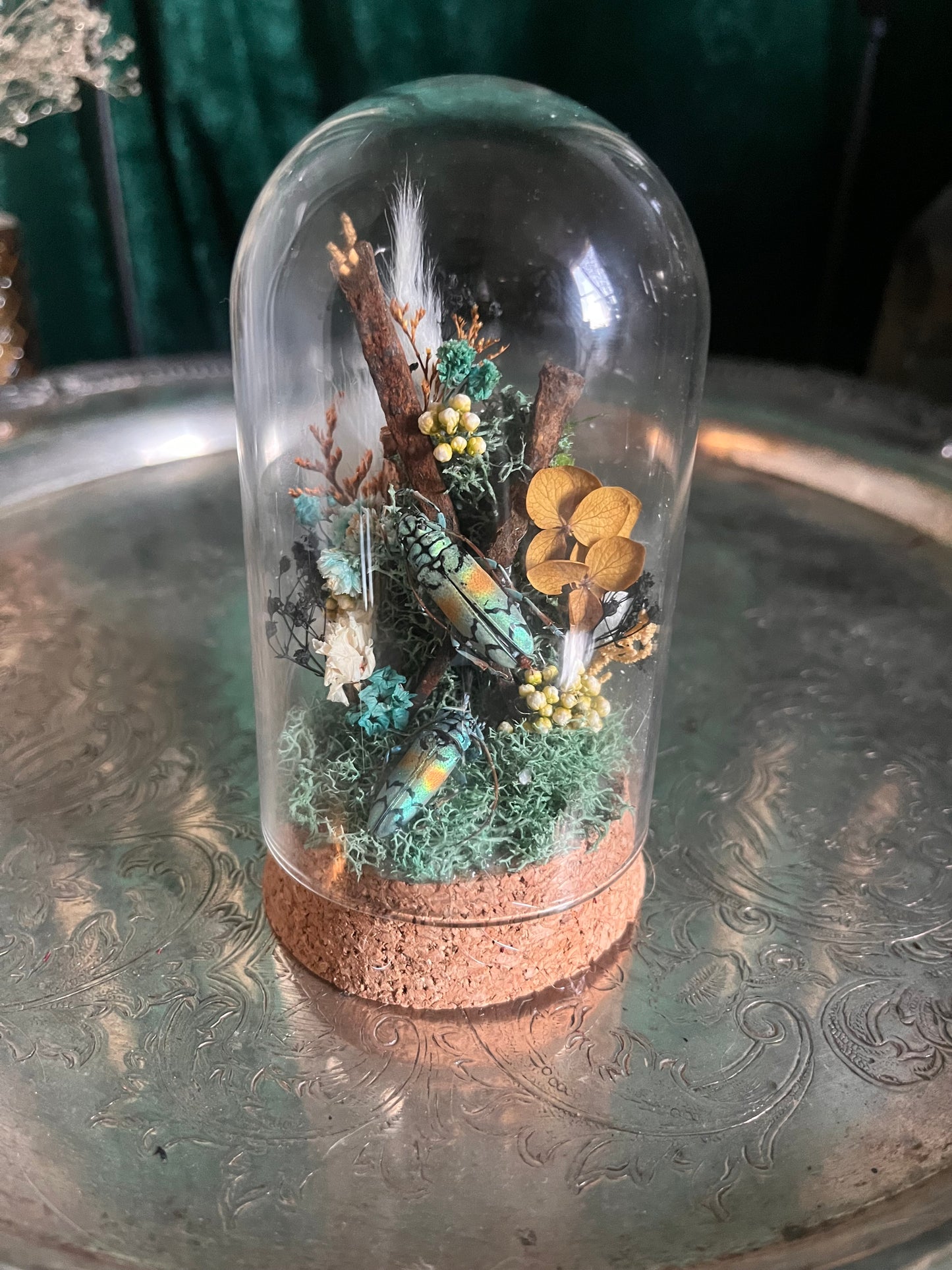 Mini coffin nail dome #1