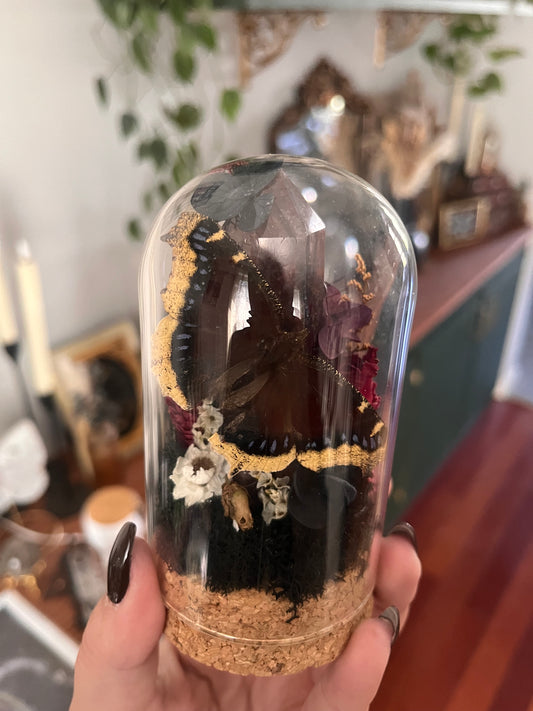 Mourning cloak mini boi