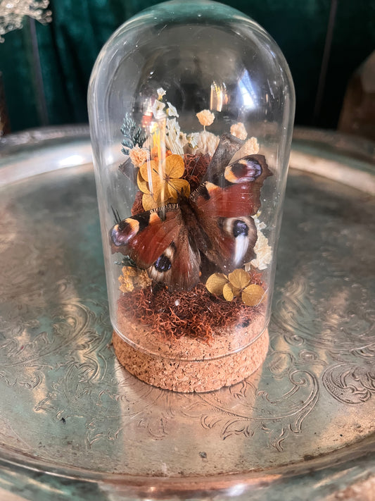 Mini coffin nail dome #2