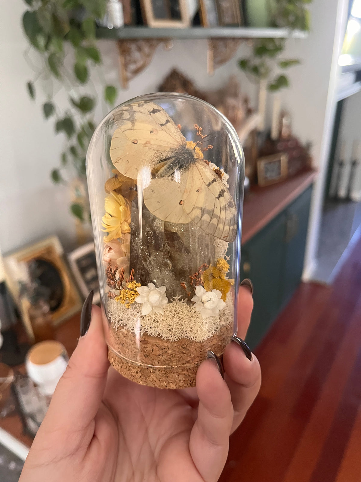 Citrine mini boi