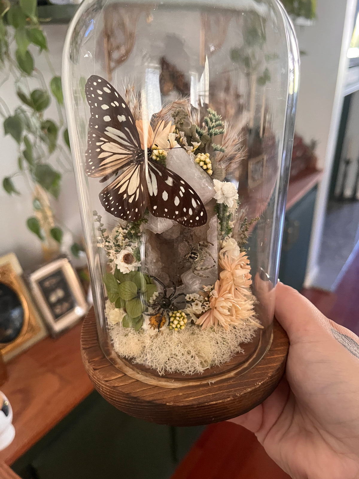 Flower agate and friends