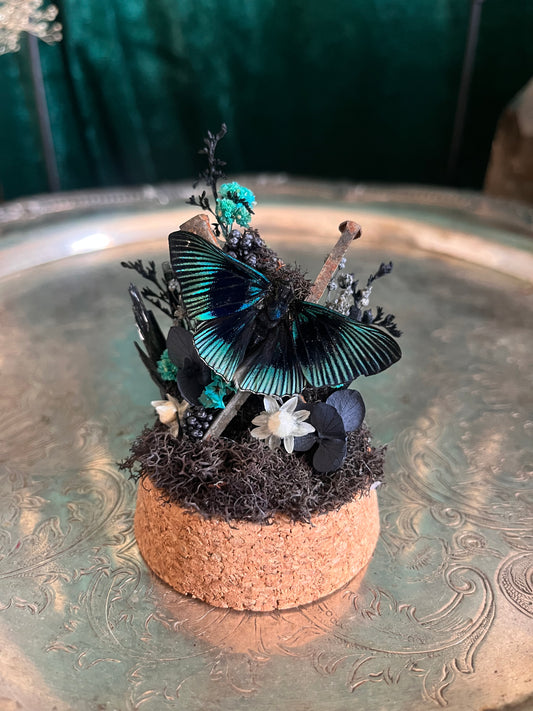 Mini coffin nail dome #3