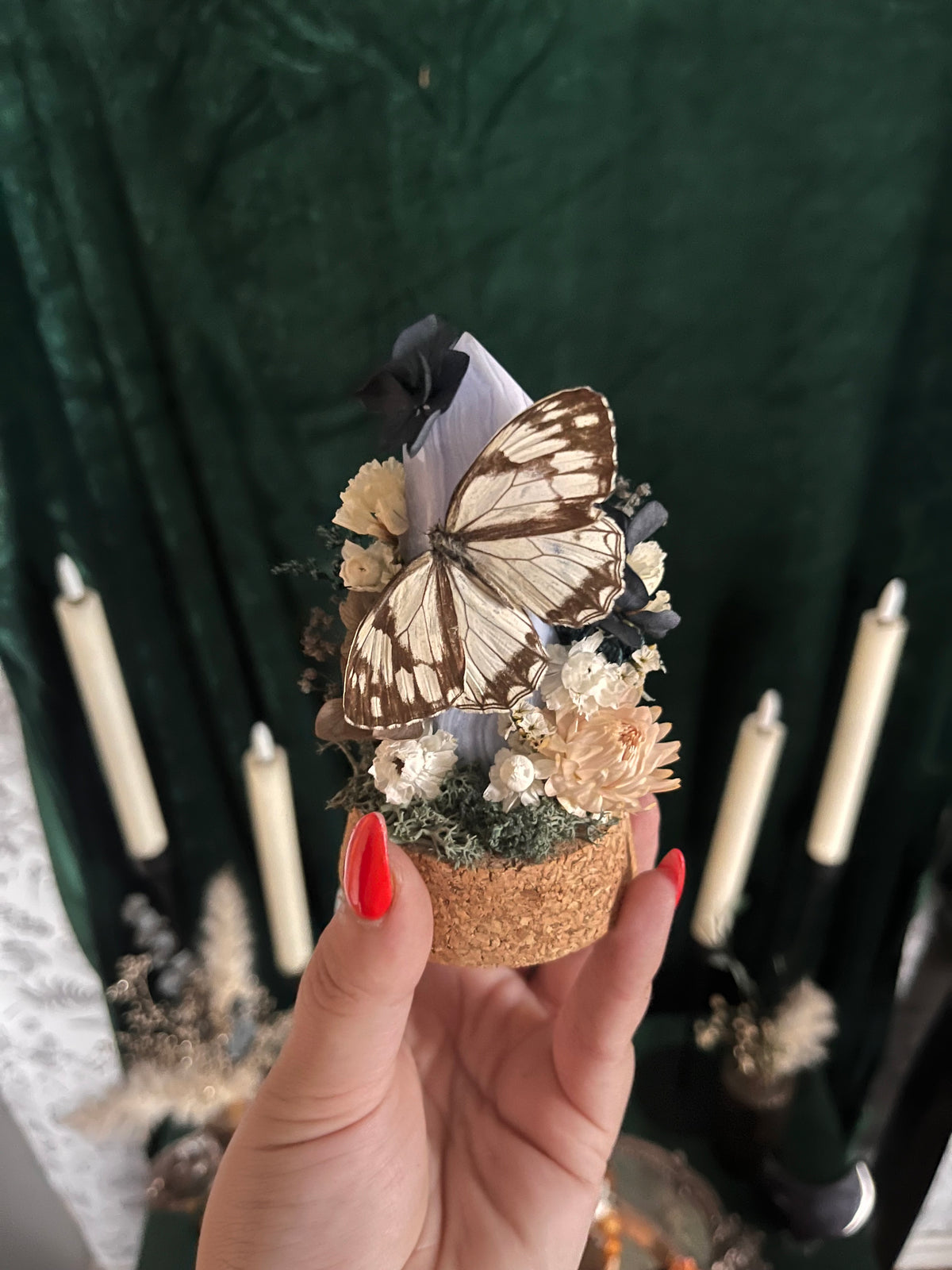 Blue lace mini boi