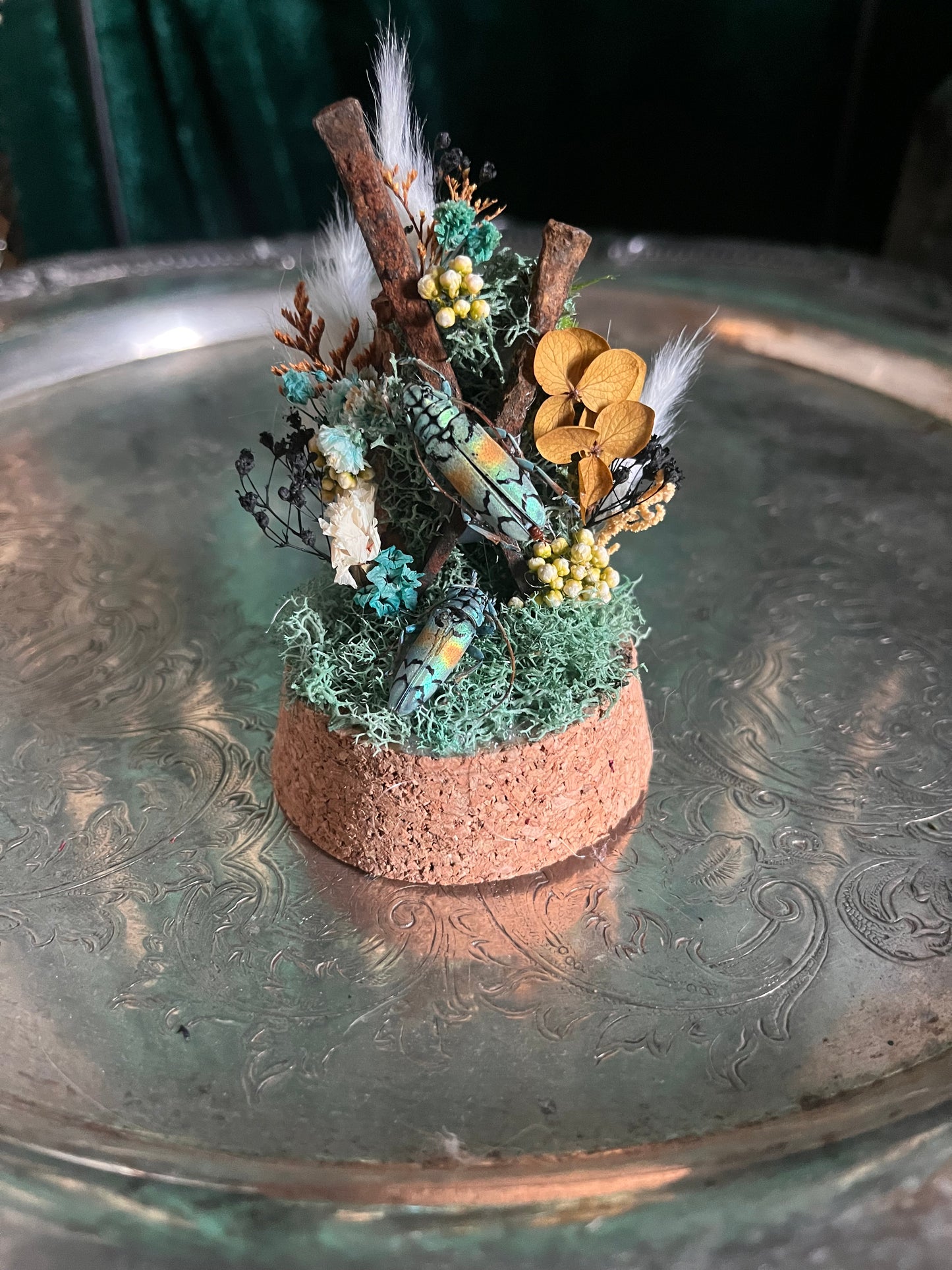 Mini coffin nail dome #1