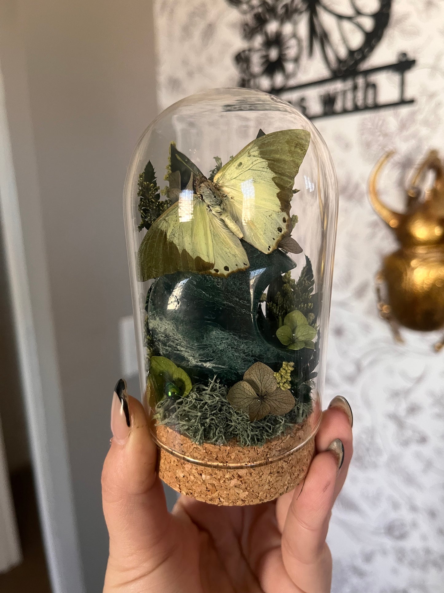 A little Elpheba vibe