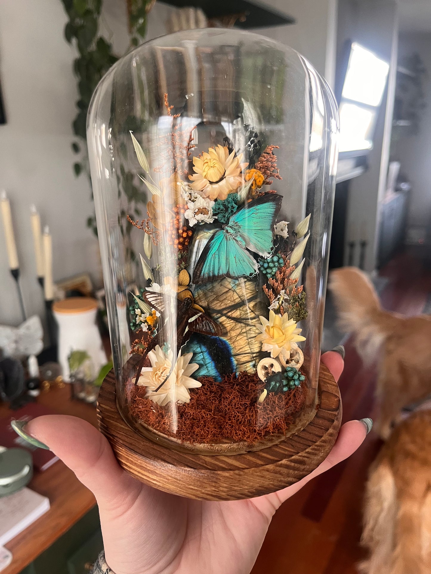 Labradorite lover