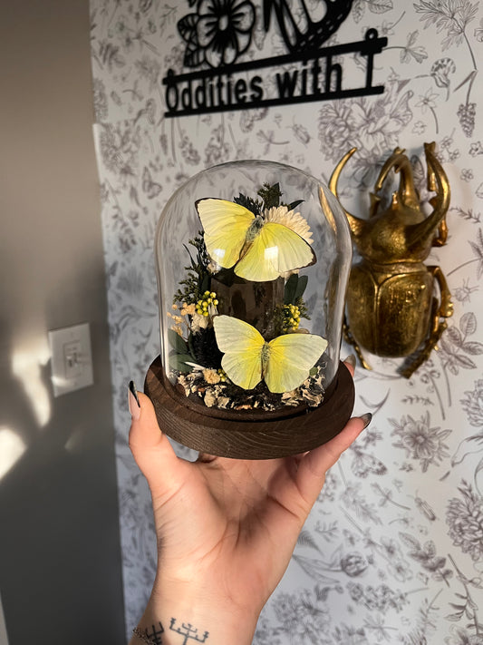 These butterflies were tough to pick a color scheme for