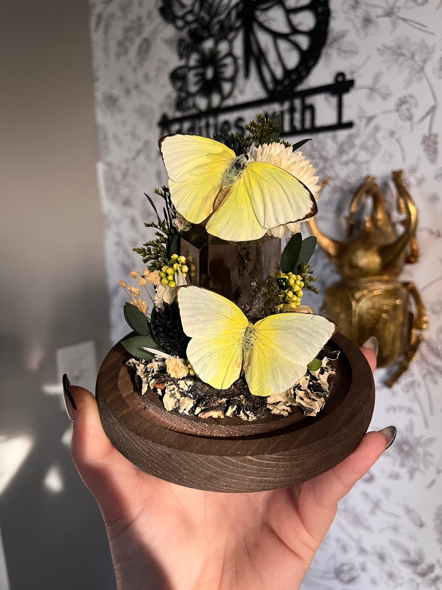 These butterflies were tough to pick a color scheme for