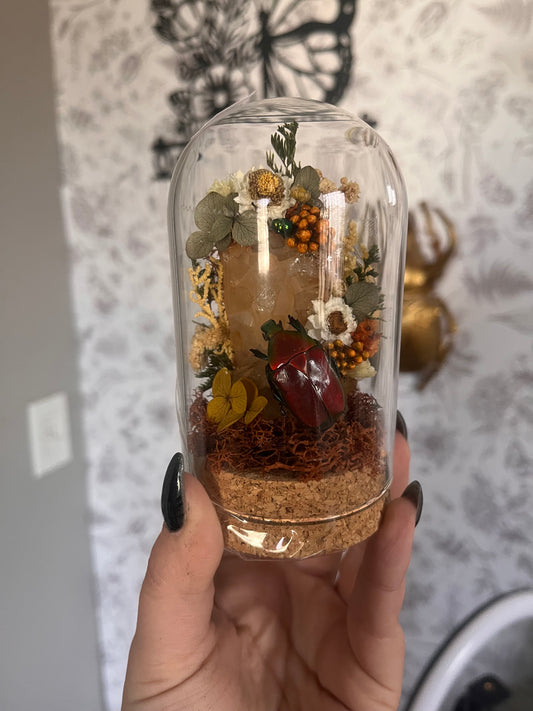 These beetles are a new fav