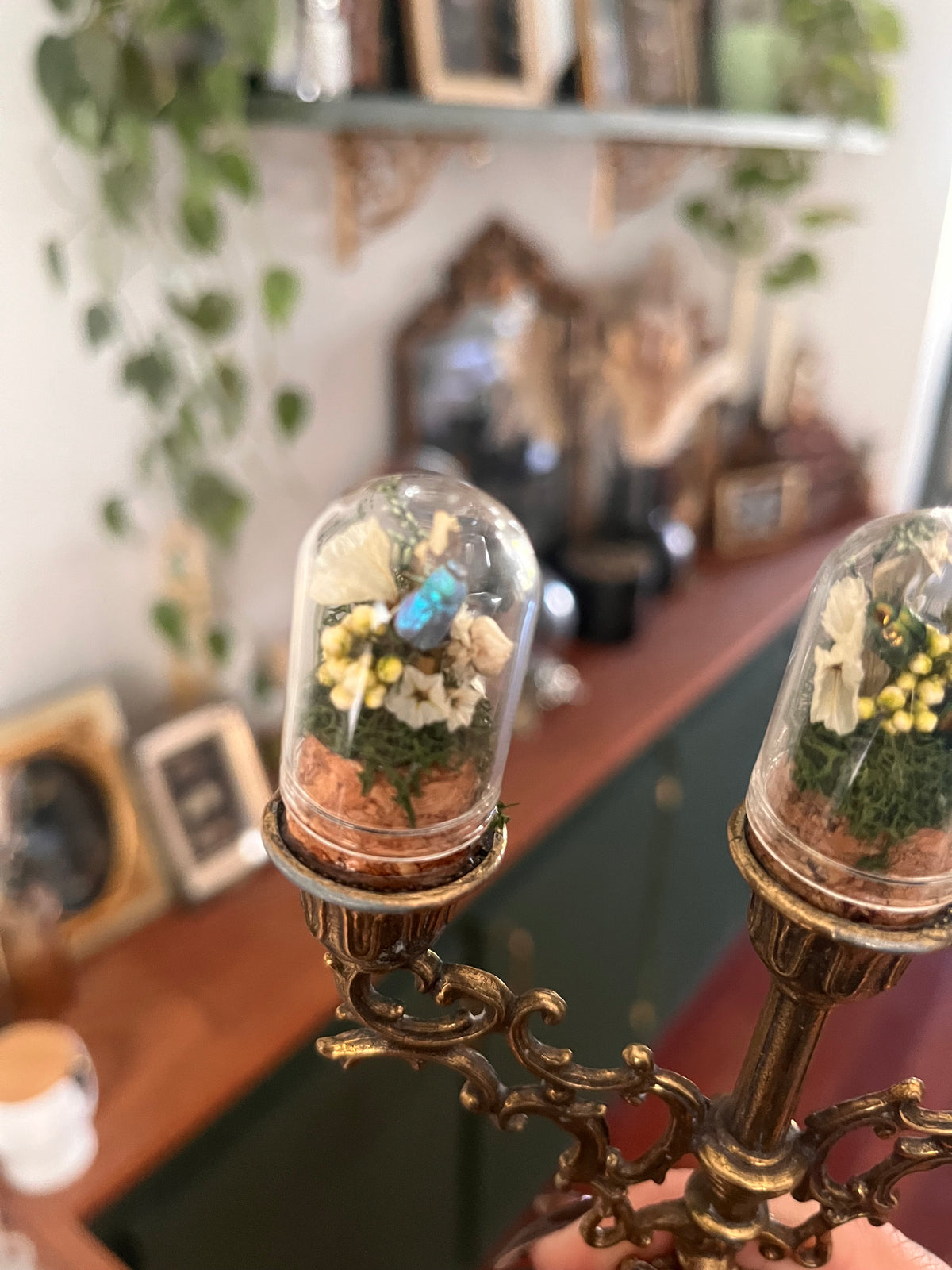 Mini candelabra boi