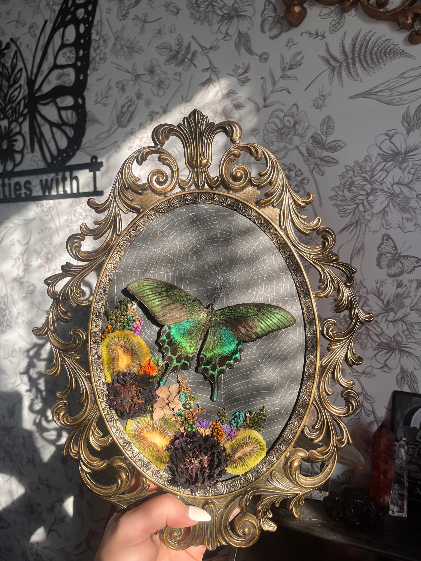Swallowtails and I are STILL beefing