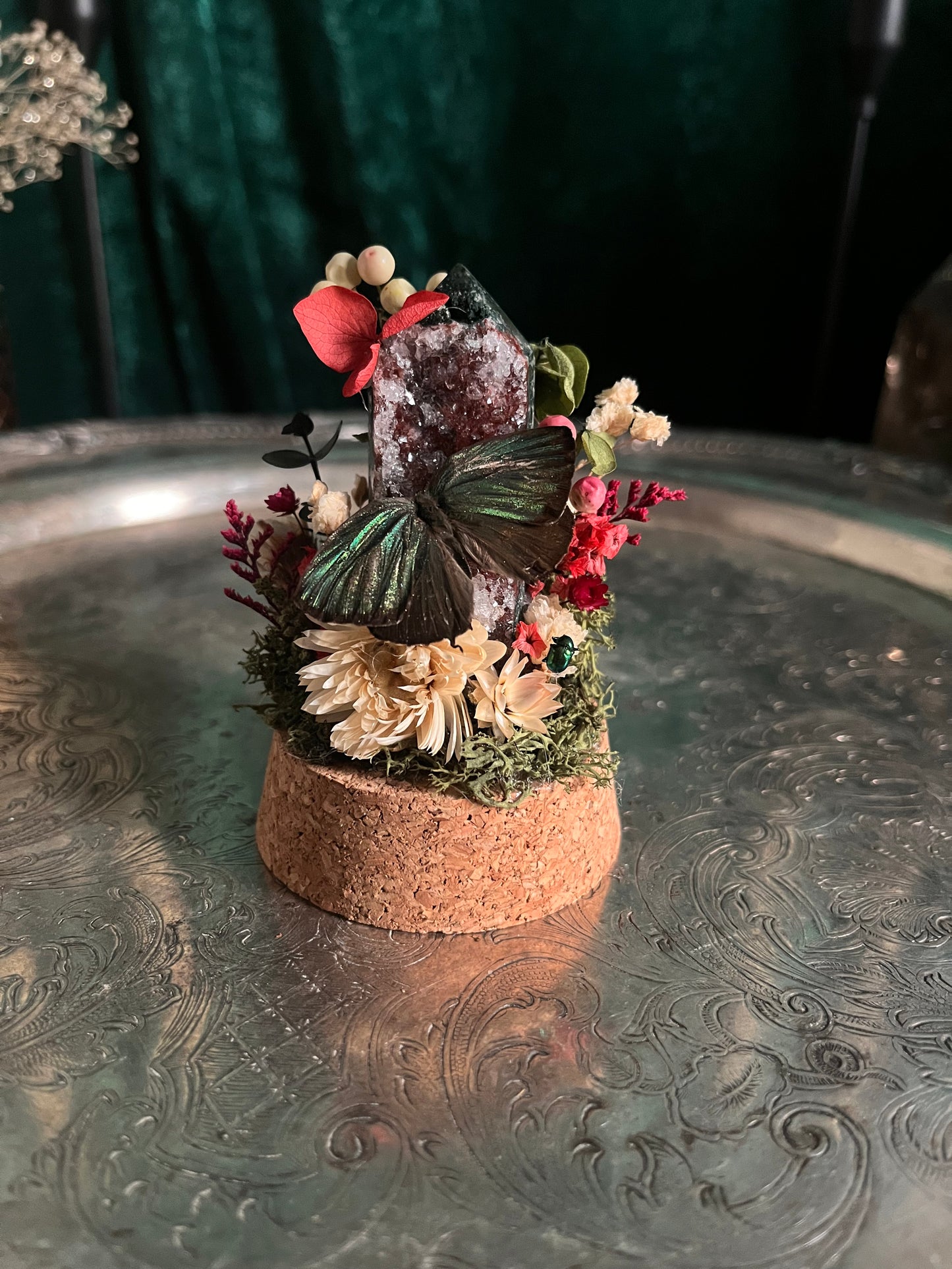 christmas but make it entomology