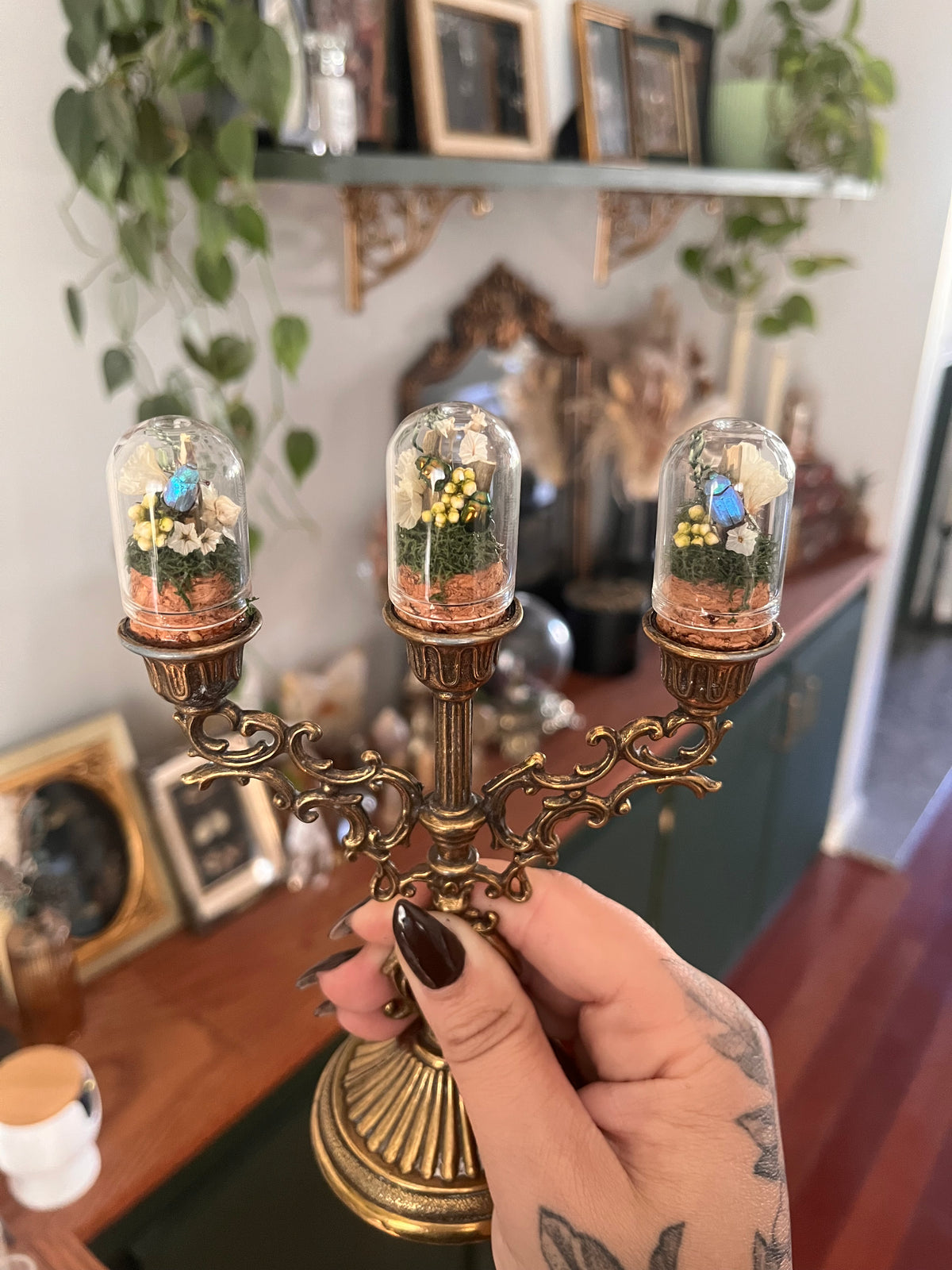 Mini candelabra boi