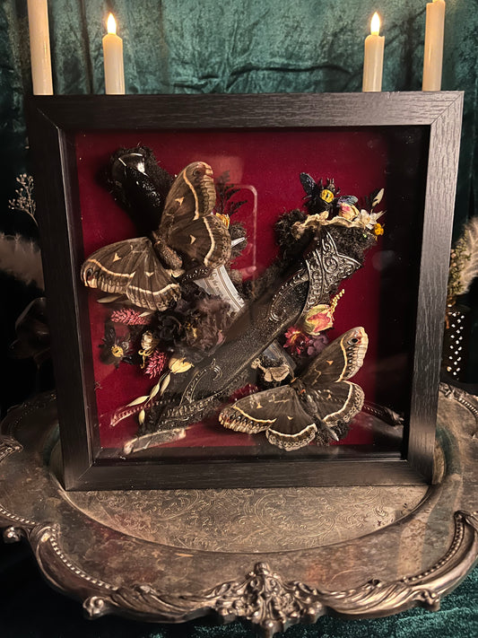 The Witch King of Angmar