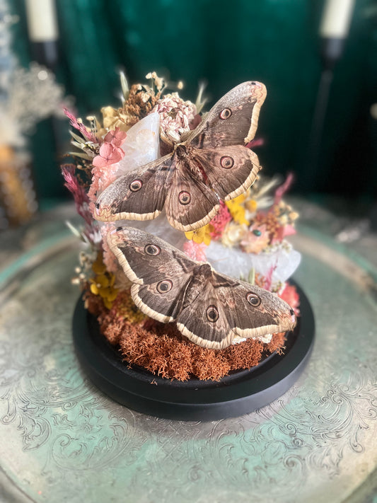 Moths and moon