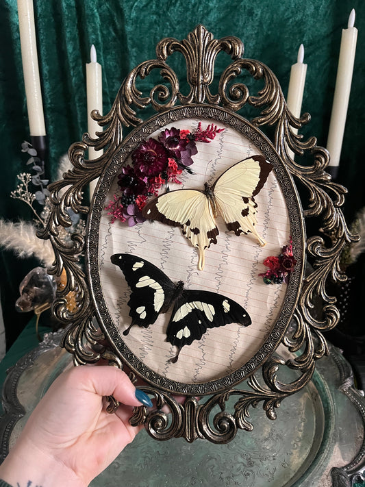 the dance of the sugar plum fairies