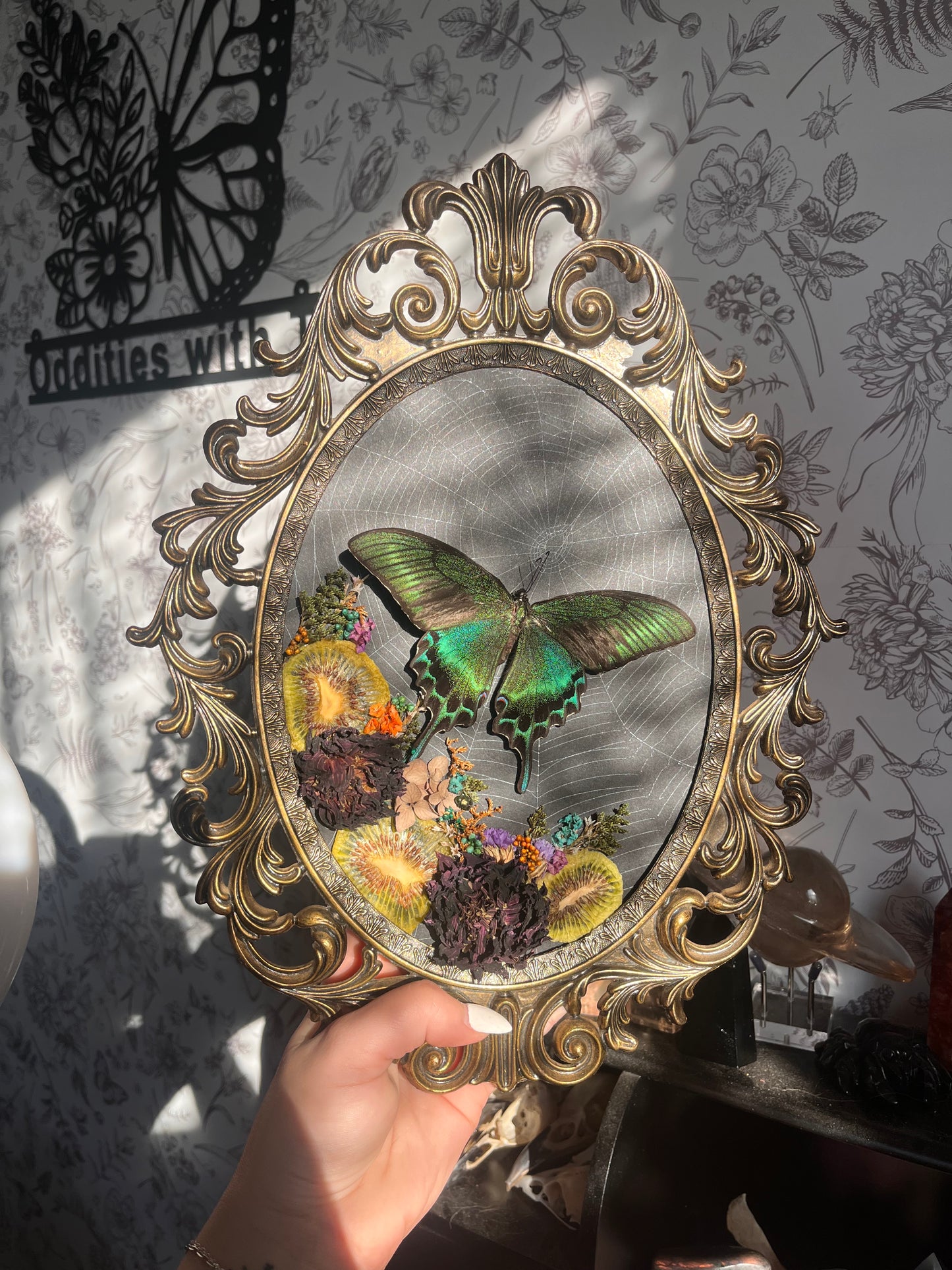 Swallowtails and I are STILL beefing