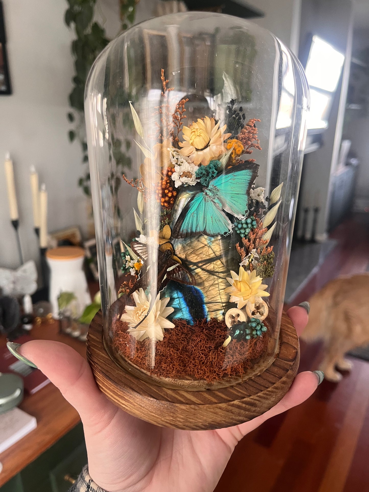 Labradorite lover