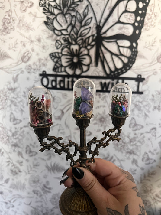 Mini candelabra