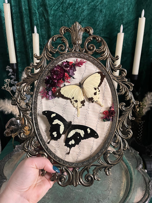 the dance of the sugar plum fairies