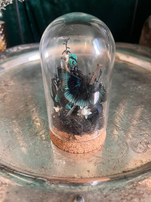 Mini coffin nail dome #3