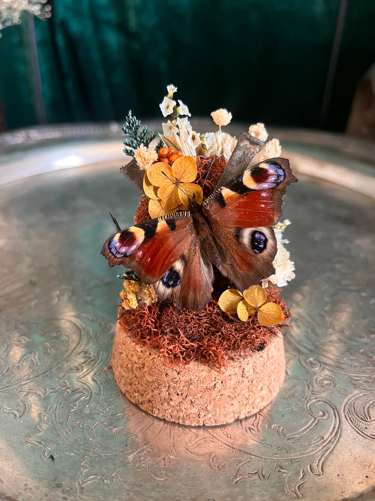 Mini coffin nail dome #2