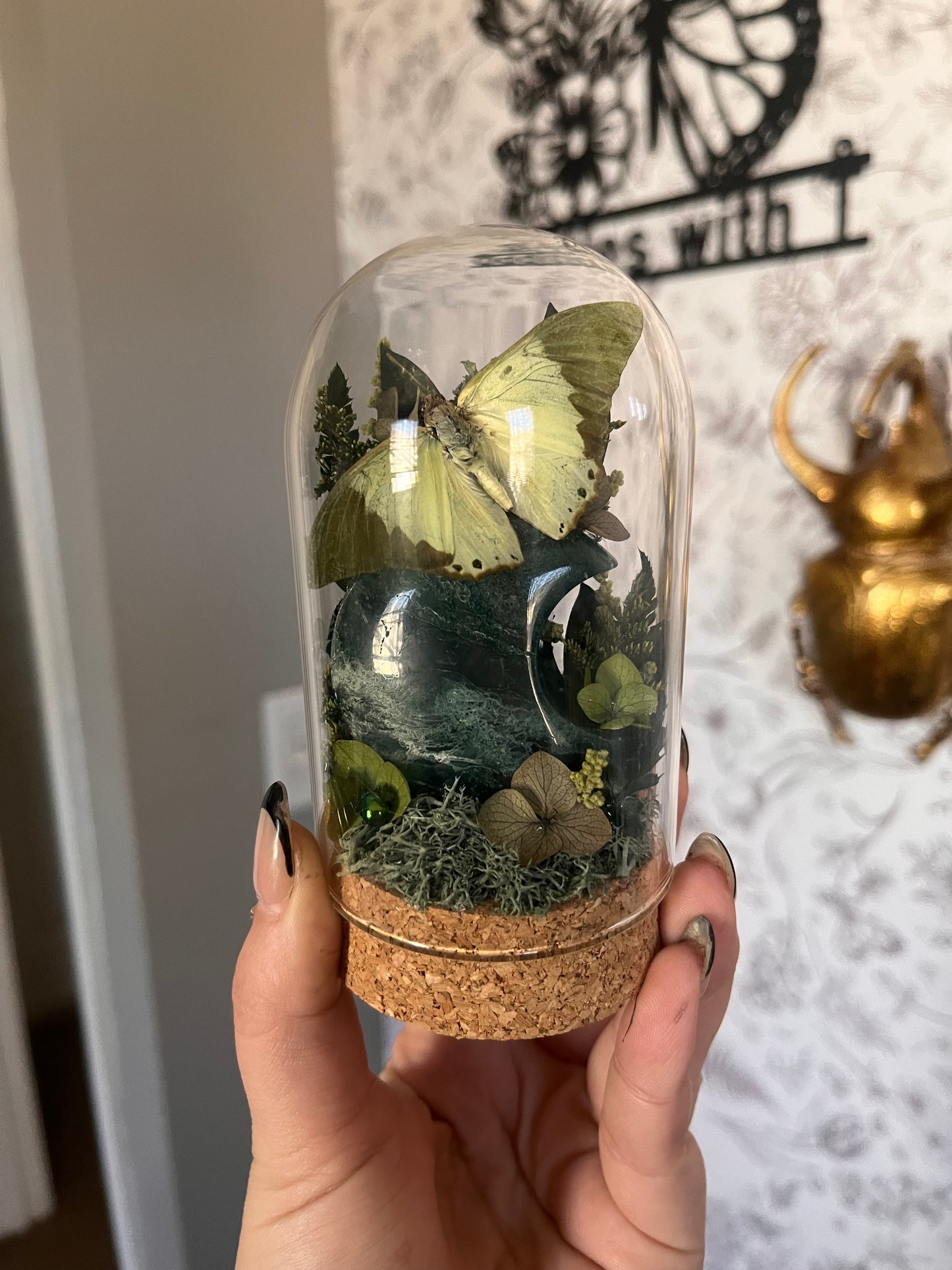 A little Elpheba vibe