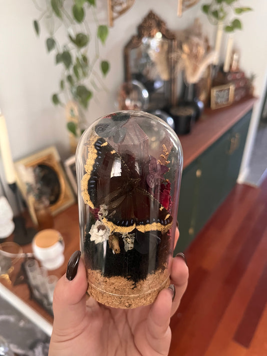 Mourning cloak mini boi