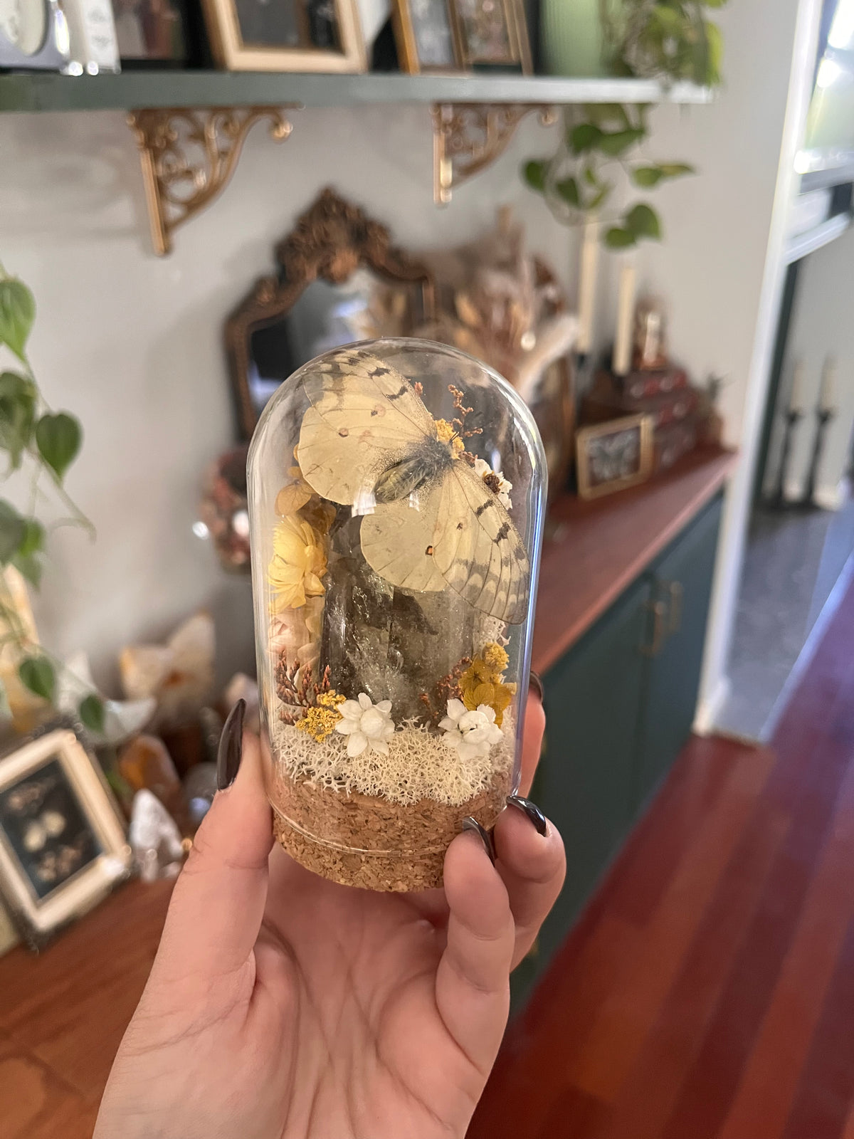 Citrine mini boi